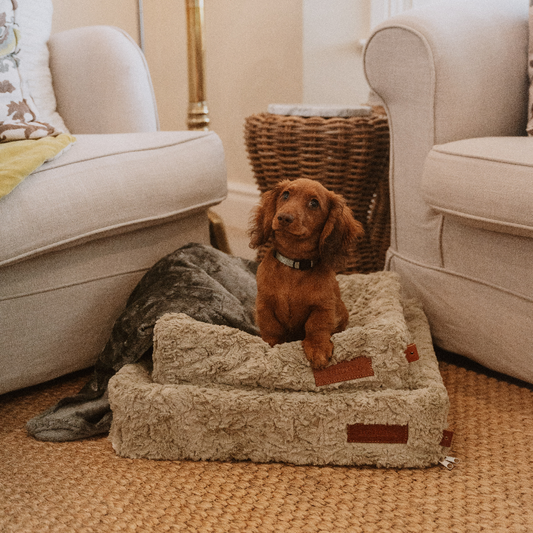 Huntlea Snooza Cube Dog Bed