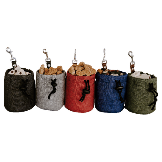Econo Huntlea Dog Treat Bag