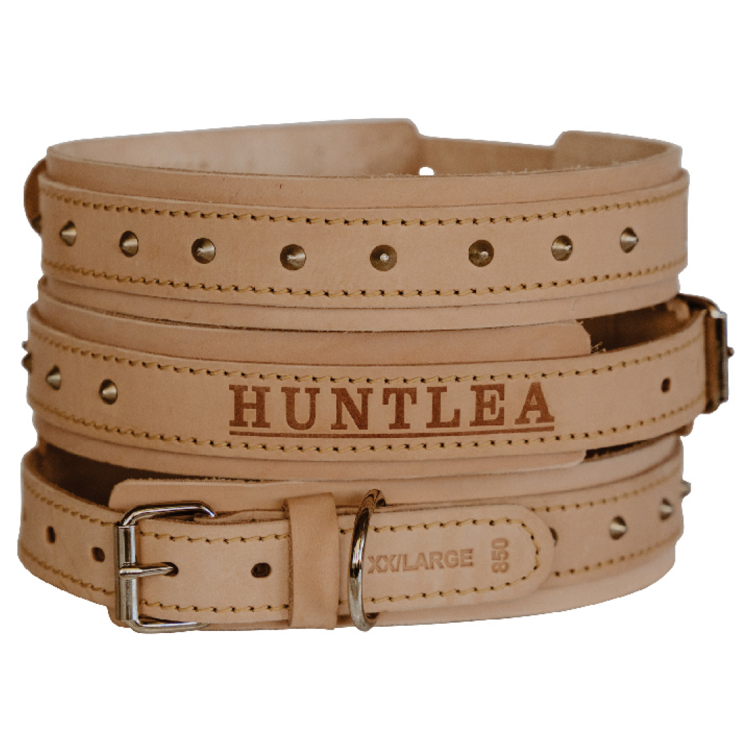 Impala Bulldog Studded Leather Collar