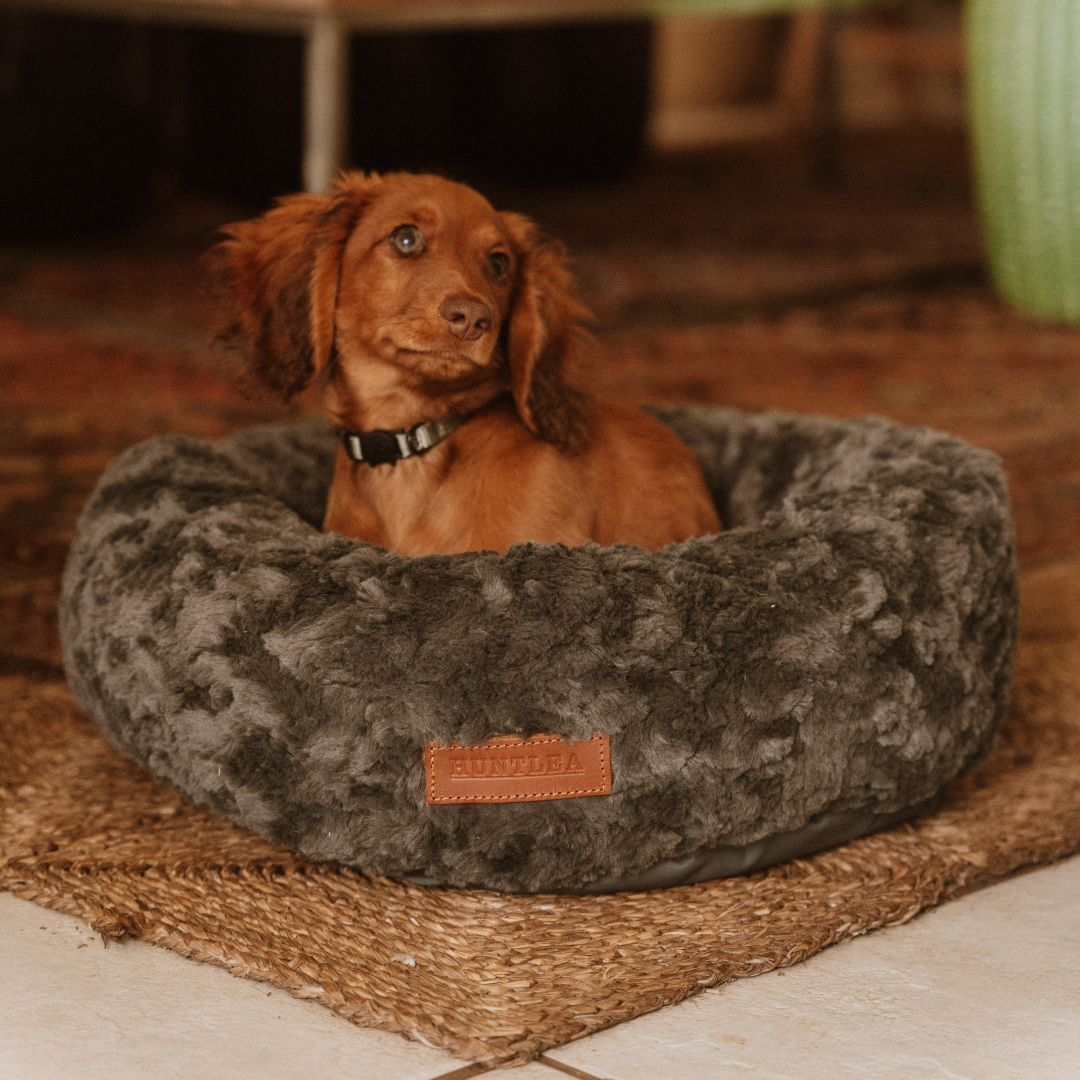 Huntlea Calming Kuddler Round Dog Bed