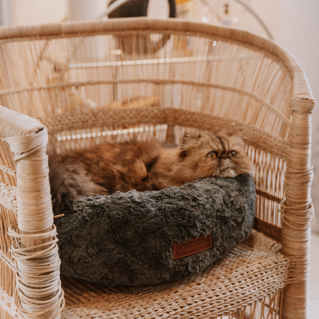 Huntlea Calming Kuddler Round Cat Bed Cover