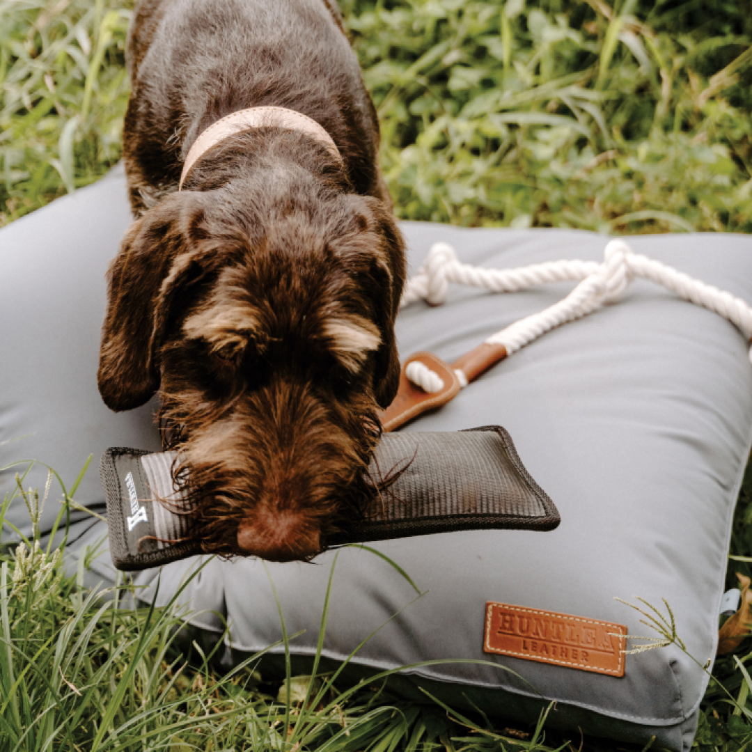 Huntlea Duplex Dog Toy