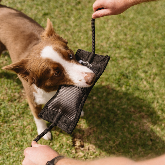 Huntlea Duplex Toy with Double Rope Tug