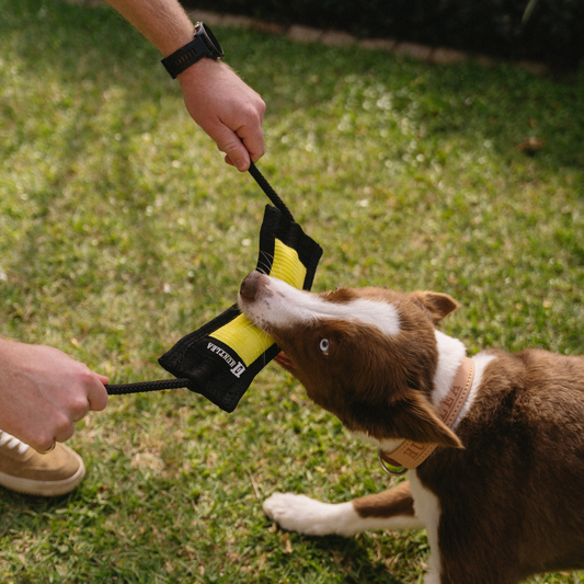 Huntlea Duplex Toy with Double Rope Tug