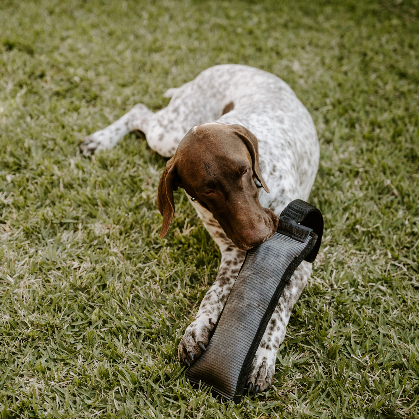 Huntlea Duplex Dog Toy With Handle