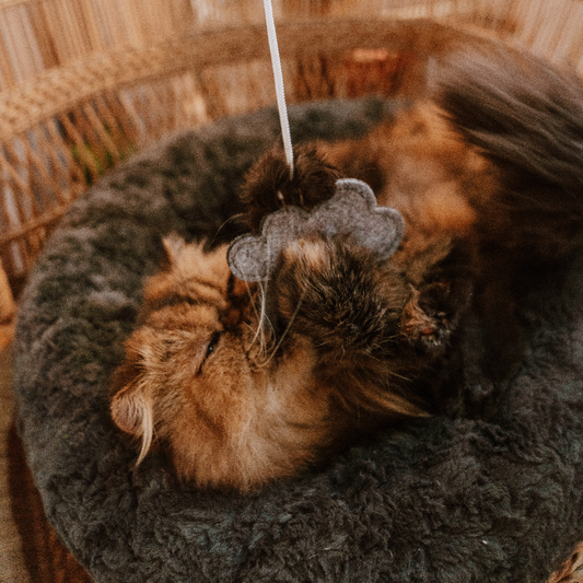 Huntlea Dangler Cat Toy Felt Cloud