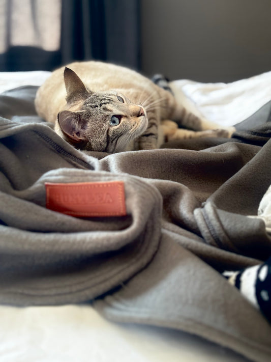 Huntlea Polar Fleece Cat Blanket