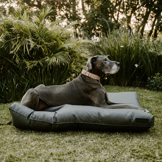 Huntlea Kalahari Napper Dog Bed