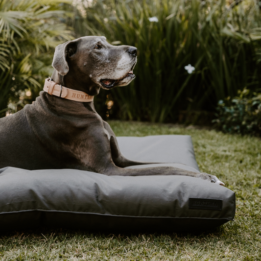 Huntlea Kalahari Napper Dog Bed