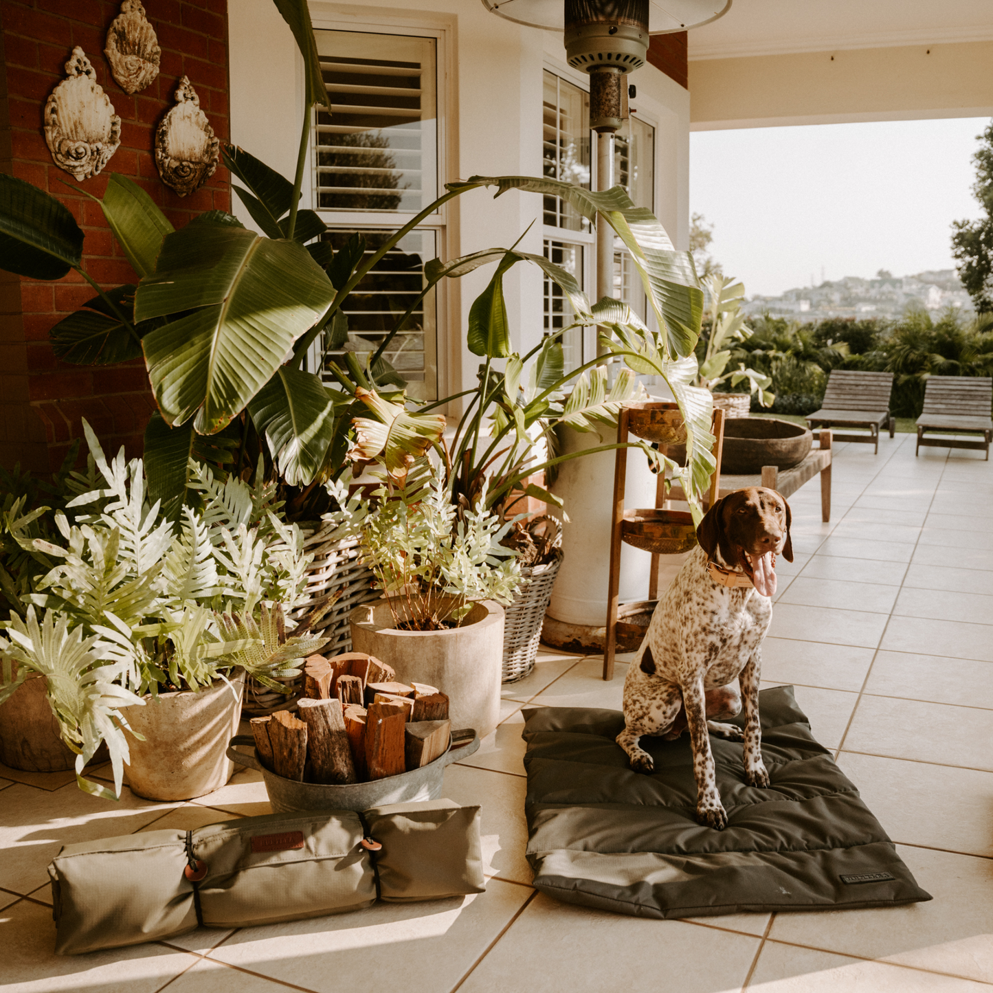 Huntlea Kalahari Travel Dog Mat