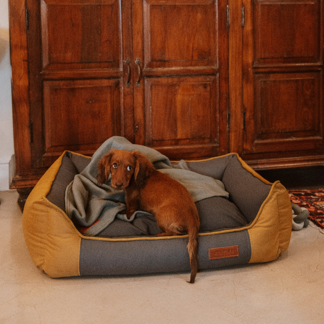 Huntlea All Season Bolster Dog Bed