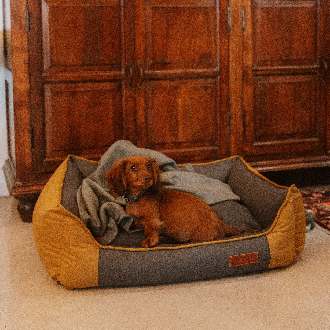 Huntlea All Season Bolster Dog Bed