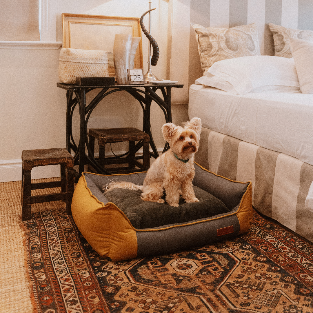 Huntlea All Season Bolster Dog Bed