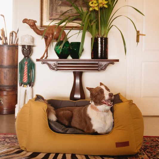 Koletto Queen Dog Bed Cover