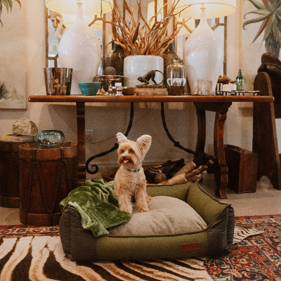 Huntlea All Season Bolster Dog Bed