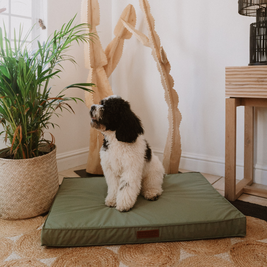 Koletto memory foam dog bed cover