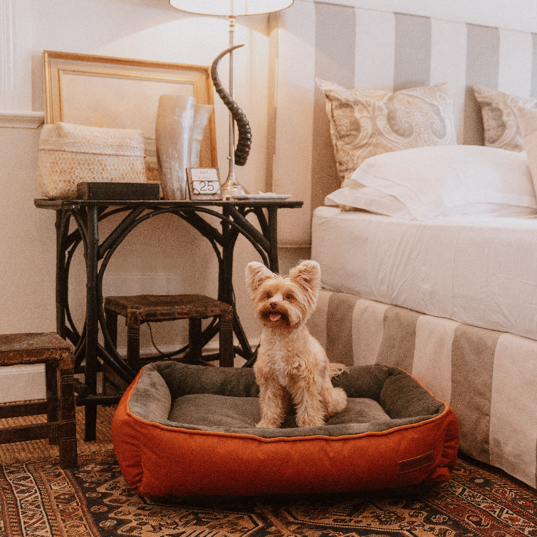 Huntlea Kuddly Bolster Dog Bed