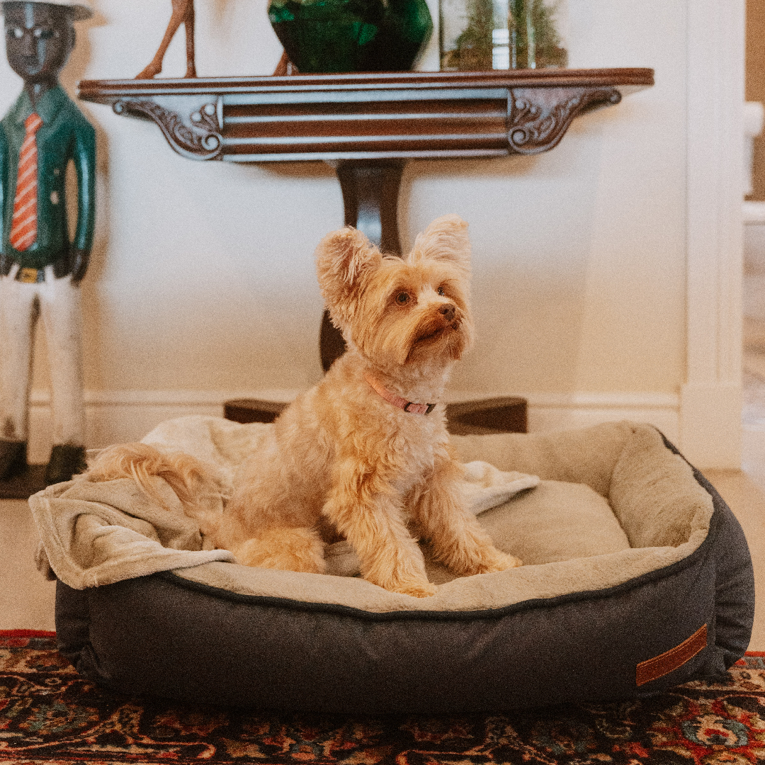 Huntlea Kuddly Bolster Dog Bed