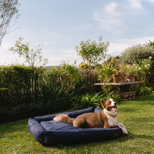 Koletto Bolster Plain Dog Bed Cover