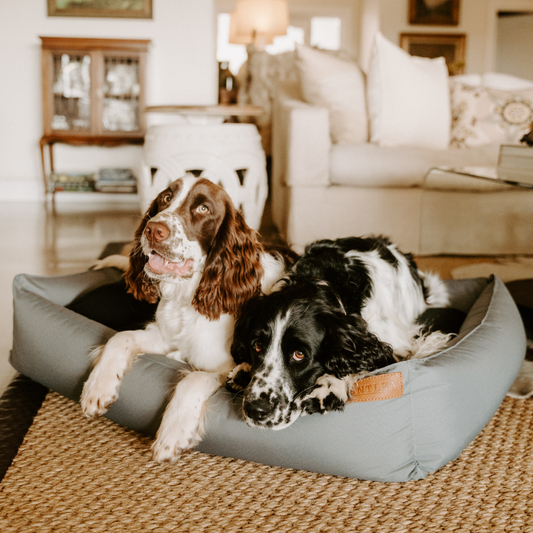 Huntlea Koletto Winter Bolster Dog Bed