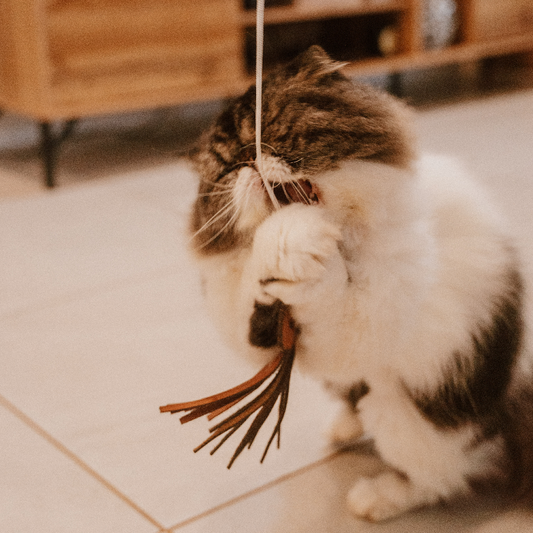 Huntlea Dangler Cat Toy Leather Jelly Fish