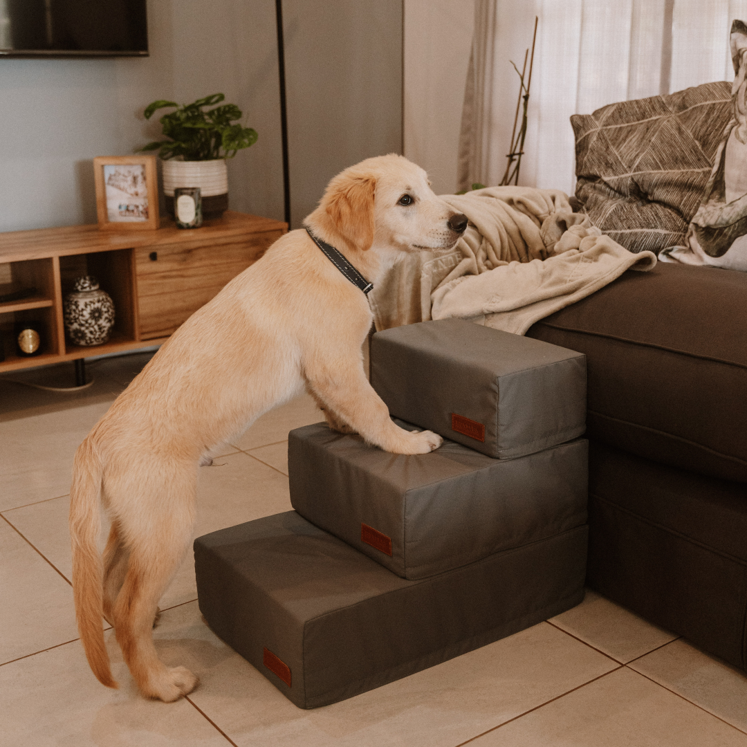 Huntlea Premium Dog Steps or Step – HUNTLEA