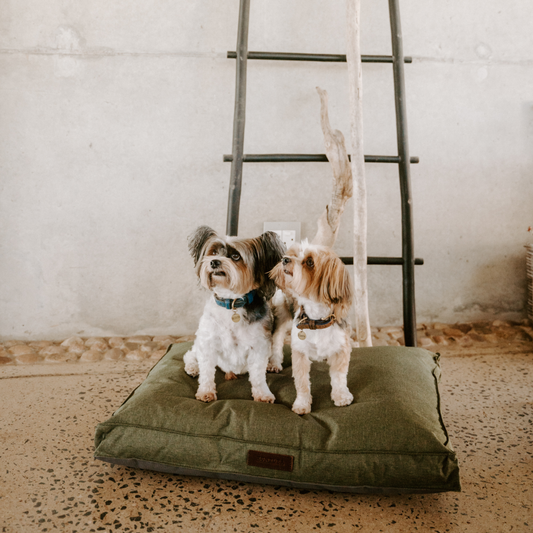 Urban Mattress Dog Bed