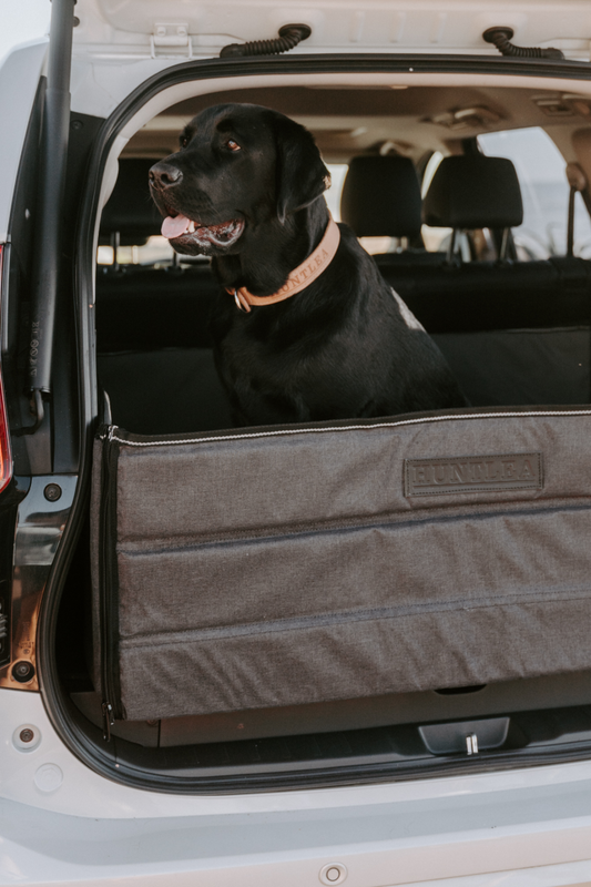 Huntlea Dog Boot Box