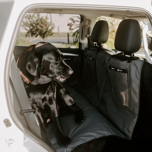 Huntlea Econo Back Seat Cover