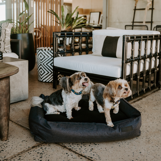Urban Bolster Dog Bed Cover