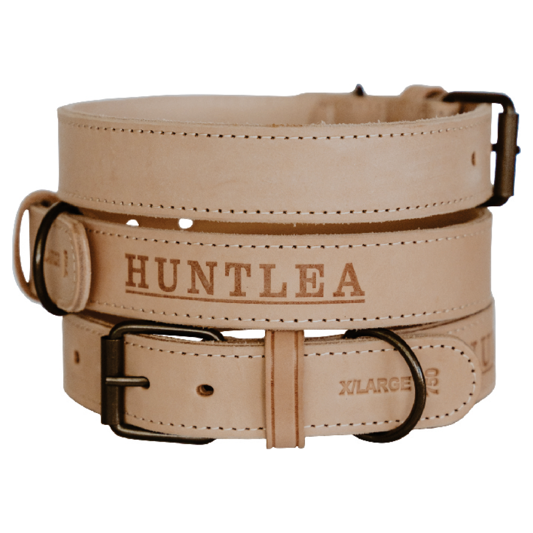 Impala Mighty Plain Dog Leather Collar