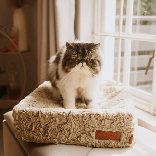 Huntlea Snooza Cube Cat Bed