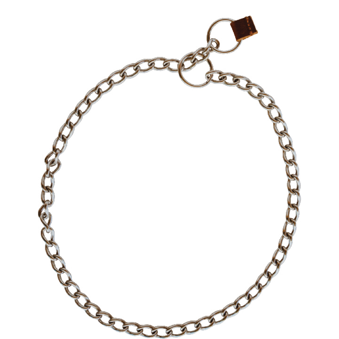 Huntlea Stainless Steel Dog Check Chains