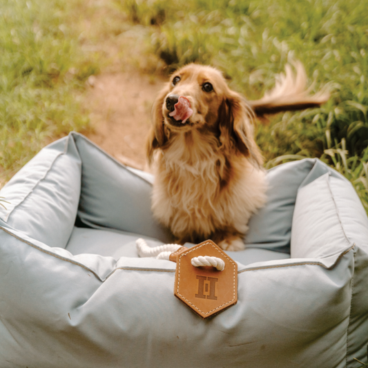 Huntlea Dog Tug Toy with Hex Leather