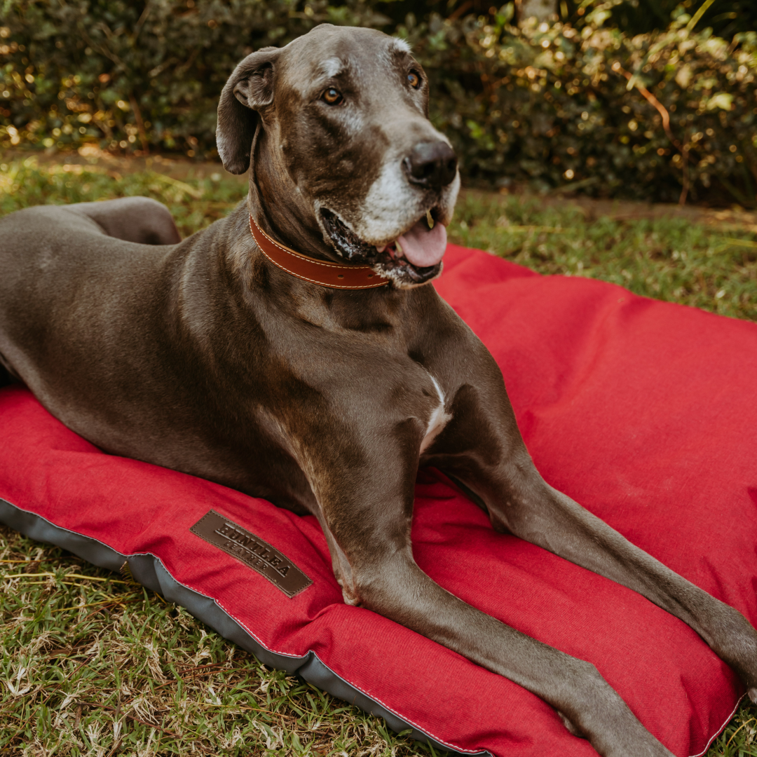 Urban Pillow Dog Bed Cover – HUNTLEA