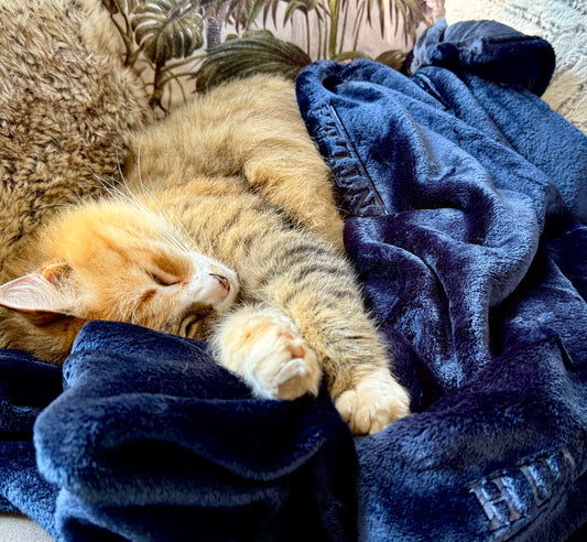 Huntlea Flannel Fleece Cat Blanket