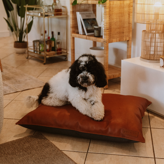 Huntlea Leather Pillow Dog Bed