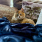 Huntlea Flannel Fleece Cat Blanket