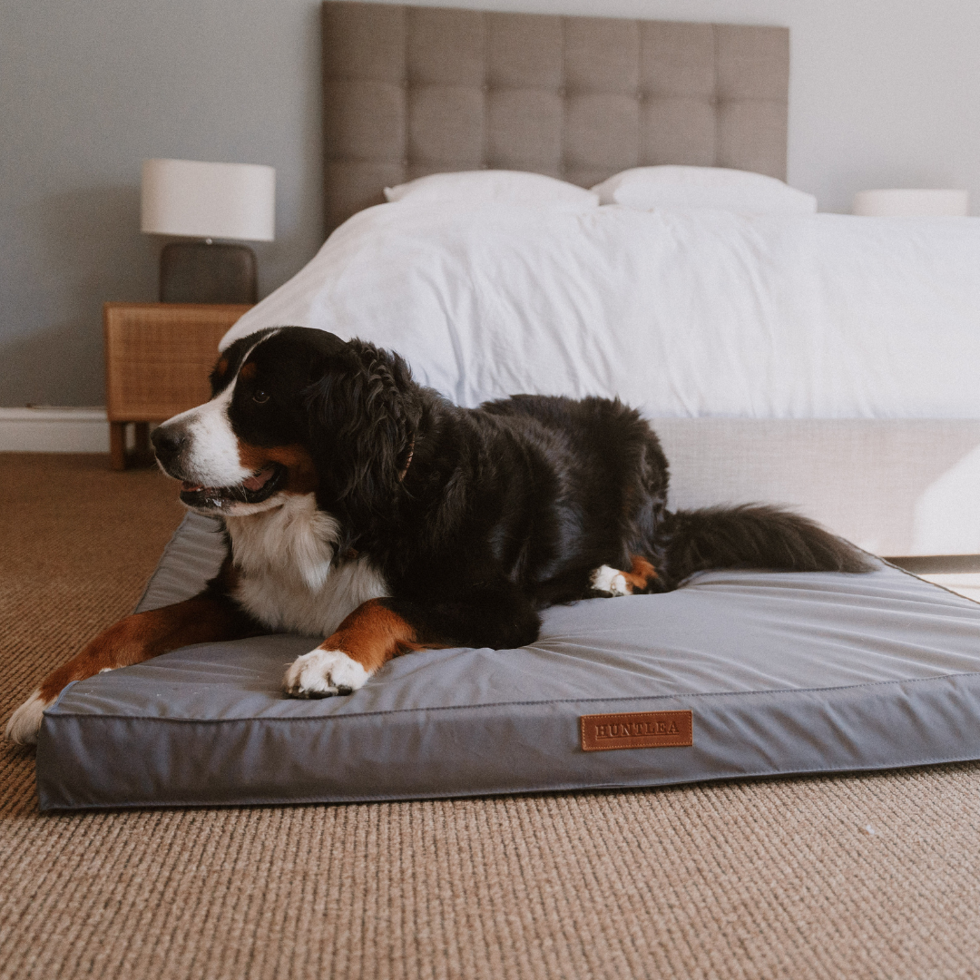 Huntlea Koletto Memory Foam Dog Bed