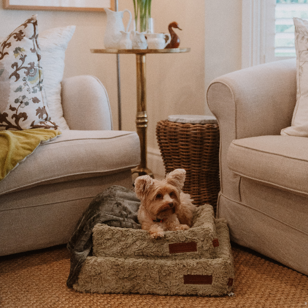 Huntlea Snooza Cube Dog Bed