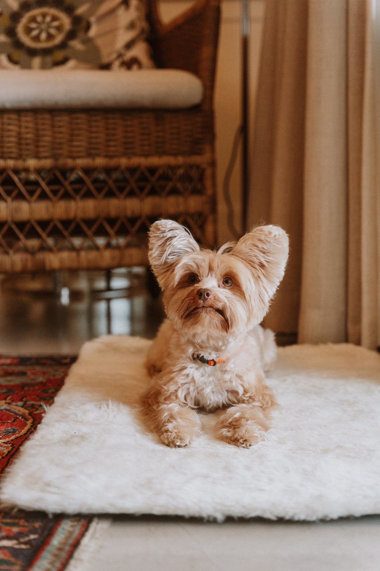 Huntlea Genuine Sheep Skin Dog Mat