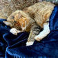Huntlea Flannel Fleece Cat Blanket
