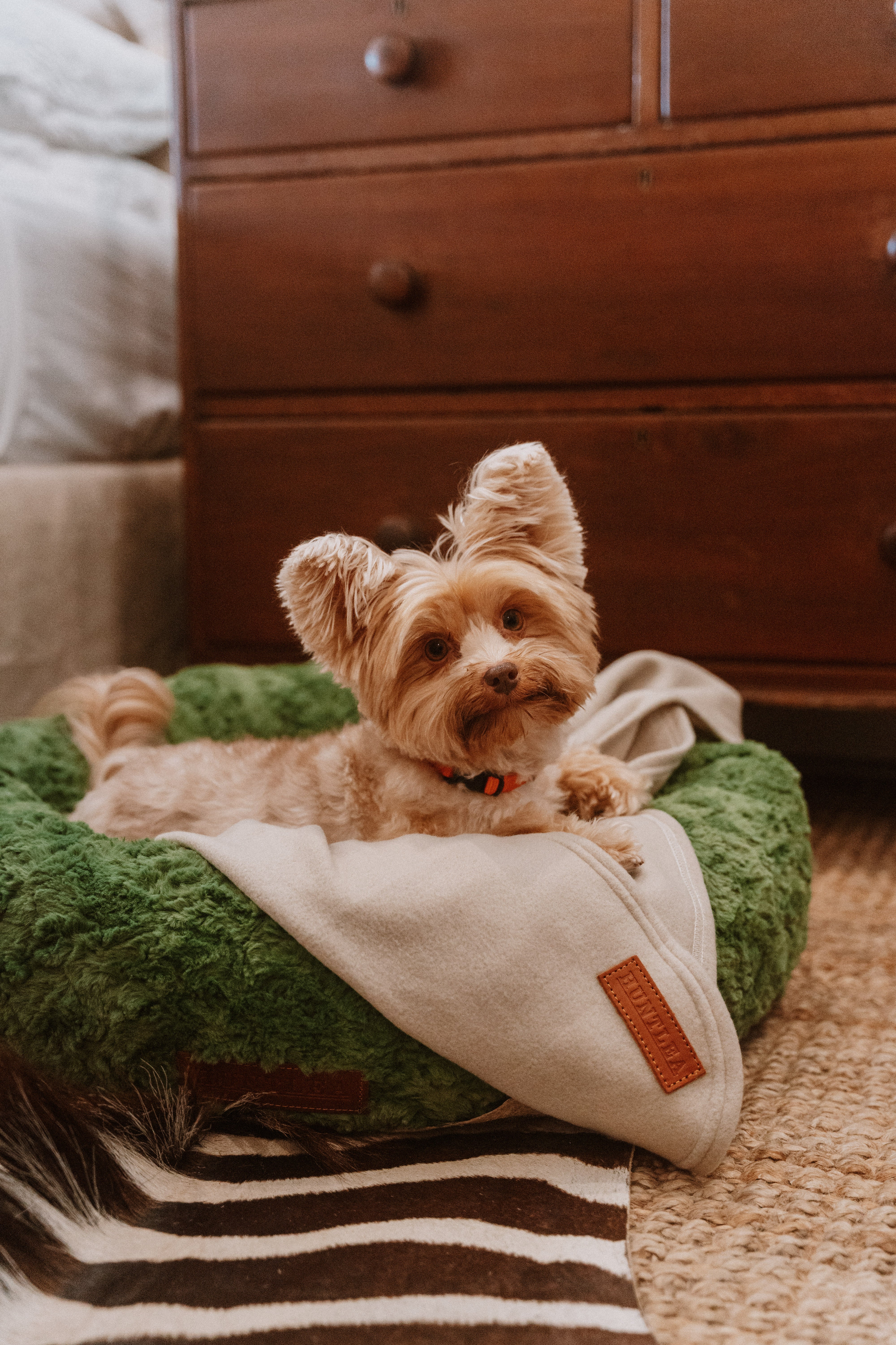 Huntlea Polar Fleece Dog Blanket – HUNTLEA