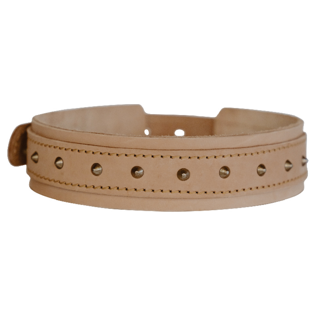 Impala Bulldog Studded Leather Collar