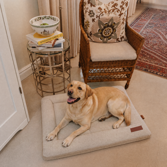 Huntlea Chill Pad Dog Bed