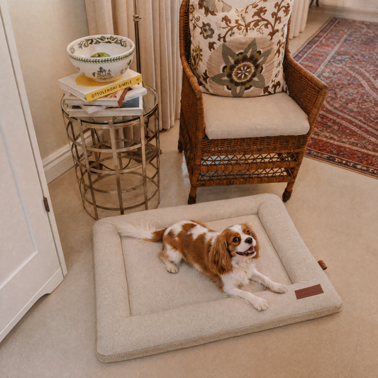 Huntlea Chill Pad Dog Bed
