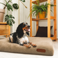Huntlea Comfort Pad Dog Bed