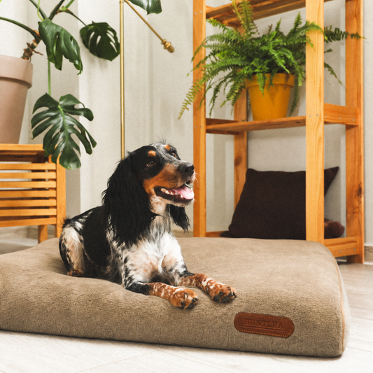 Huntlea Comfort Pad Dog Bed