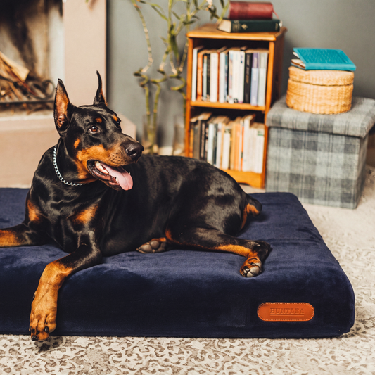 Huntlea Comfort Pad Dog Bed