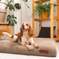 Huntlea Comfort Pad Dog Bed